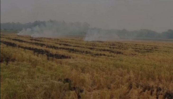 Stubble burning continues in parts of Punjab