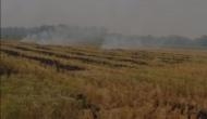 Stubble burning continues in parts of Punjab
