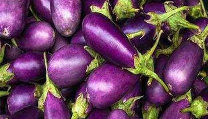 Brinjal