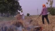 Do not blame us for air pollution: Punjab Farmers