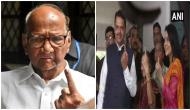 Maharashtra Polls: CM Devendra Fadnavis, Sharad Pawar cast their votes; urge people to join ‘festival of democracy’