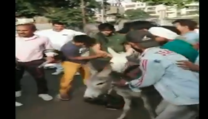 Rajasthan: Two BSP leaders garlanded with shoes, paraded on donkey