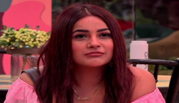 shehnaaz gill