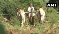 Karnataka: This 91-year-old farmer works for 8 hours everyday