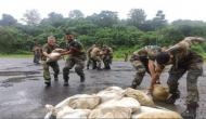Mizoram: Indian, Japanese Army contingents jointly practised team-building exercises