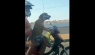 Wow! Dog rides a bike with its two paws; here’s the viral video