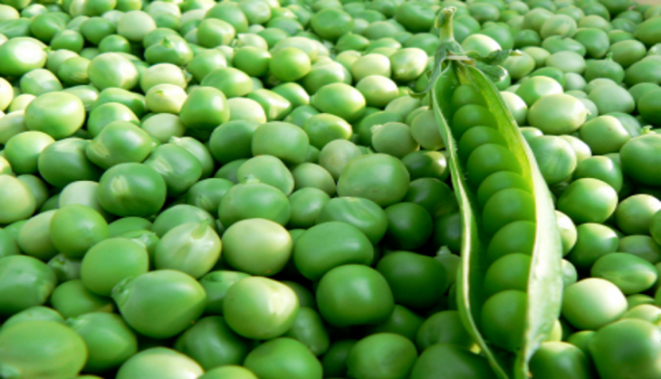 GREEN PEA