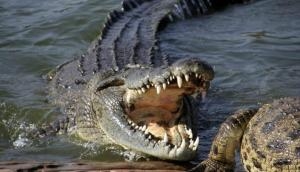 ‘The Real Hero’: 15-year-old boy dares to fight with crocodile to save younger sister