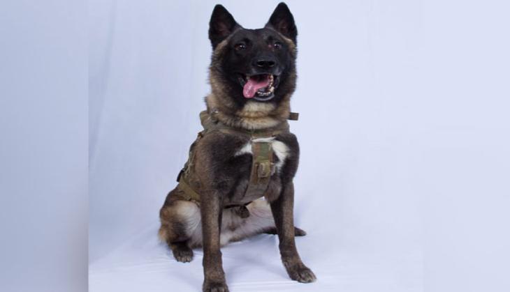 US president Donald Trump reveals name of military dog injured in raid to kill al-Baghdadi