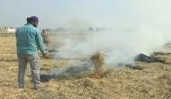 Stubble burning: 29 farmers fined in UP's Muzaffarnagar