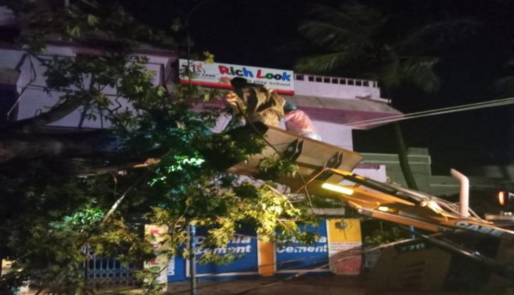 Odisha: Cyclone Bulbul kills 2 in Kendrapara