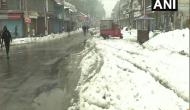 J-K: Srinagar receives snowfall