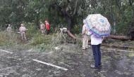 Cyclone 'Bulbul' makes landfall, two deaths reported