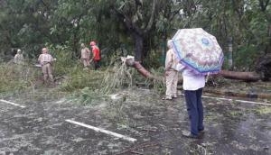 Cyclone 'Bulbul' makes landfall, two deaths reported