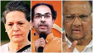 'Shiv Sena will form next government in Maharashtra with support of Congress, NCP' 