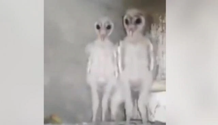 viral video