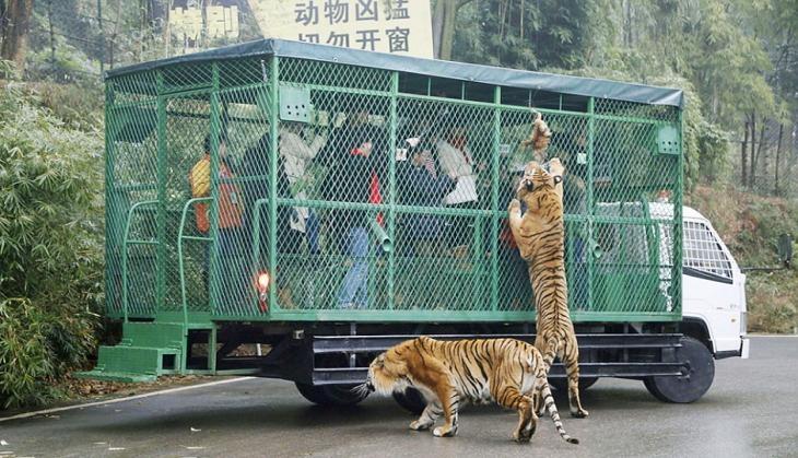 Lehe Ledu Zoo