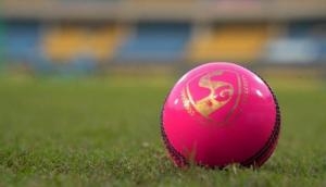 The challenge is to play under lights with pink ball, says Daniel Vettori ahead of day/night Test 