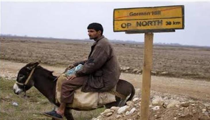 man with donkey