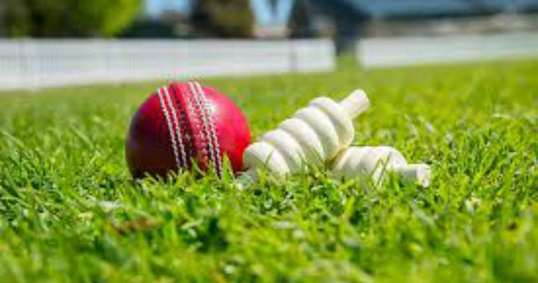 Nepal's cricketer produces best ever bowling figures in T20I history, takes 6 wickets for no run