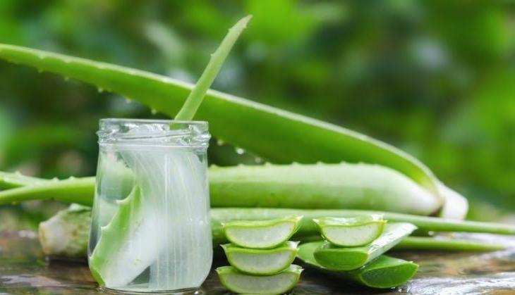 aloevera