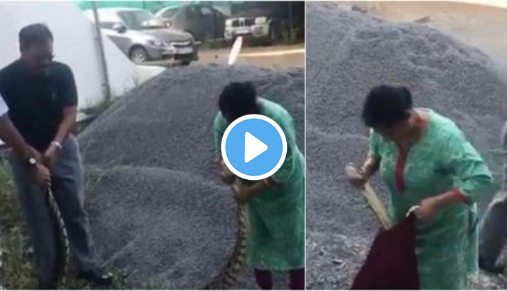 Watch how Navy officer's daring wife captured 20 kg python alive; netizens left stunned