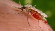 Assam: Japanese Encephalitis claims 23 lives since April