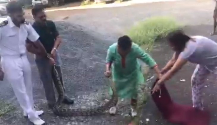 viral video