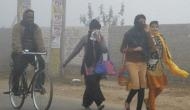 Delhi weather today: Cold wave conditions to prevail in national capital