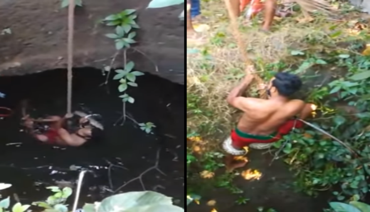 viral video