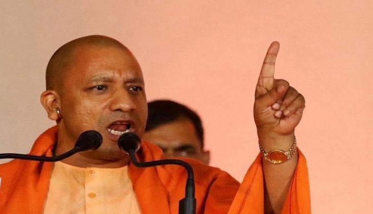yogi