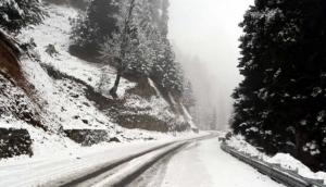 Weather Update: Severe cold continues to grip J-K, Ladakh