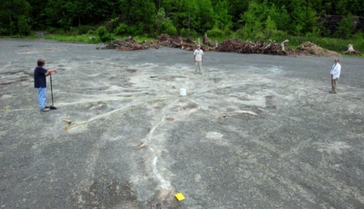 World's oldest known fossil forest found in New York quarry