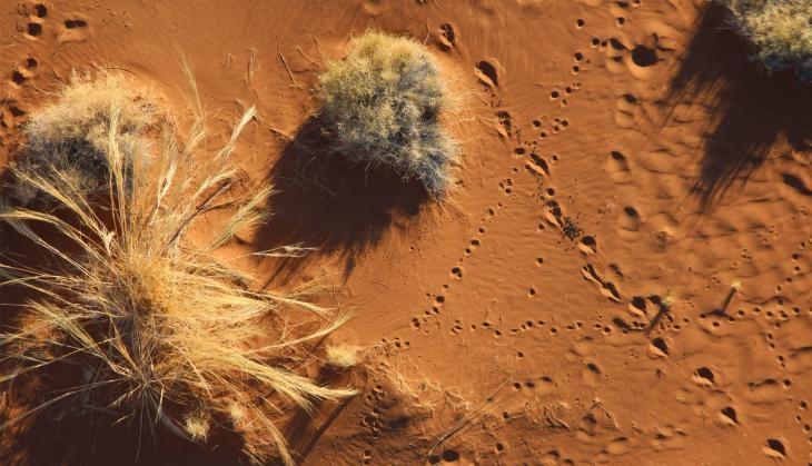 Namibia desert