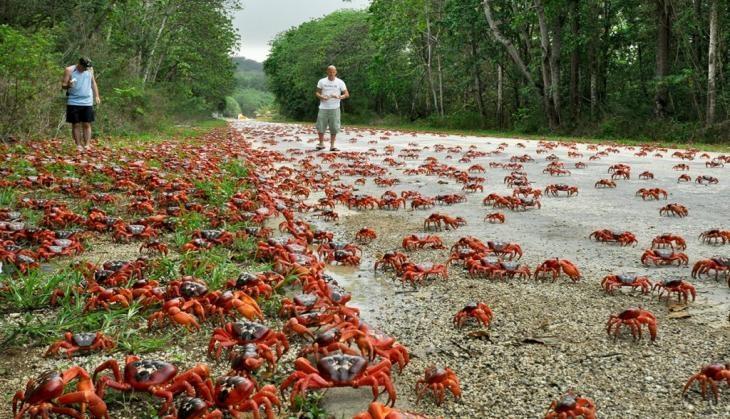 Christmas Island