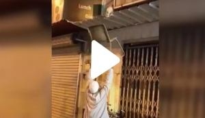 Random acts of kindness: Elderly man rescues stranded cat; video will make you say awdorable!