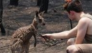 Australia Bushfire: Distressing picture of kangaroo begging teenager for help after being burnt in wildfire