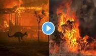 Australia Bushfires: These heartbreaking videos depict how bad things are in the region