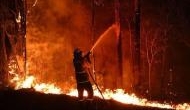 Australia Bushfires: Police charges at least 24 people for intentionally starting wildfire