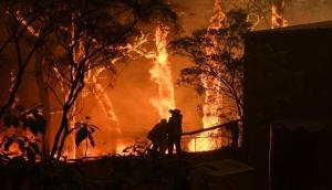 Australia bushfire: Turn of destiny for man whose house was destroyed in wildfire, wins Rs 4.88 crore lottery