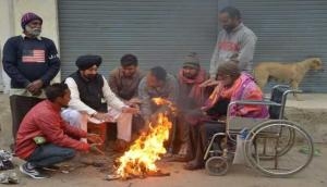 Weather Alert: Cold wave conditions persist in Punjab, Haryana