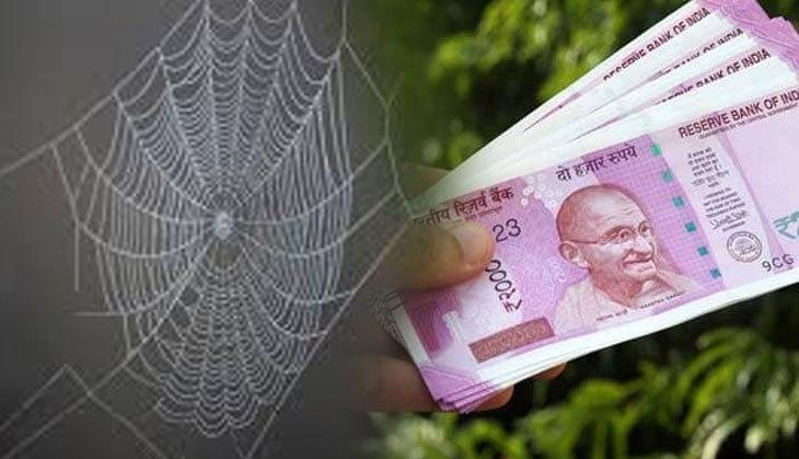 web