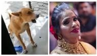 Dog sings Ranu Mondal and Himesh Reshammiya song ‘Teri Meri’ in unique style; video will tickle your funny bones