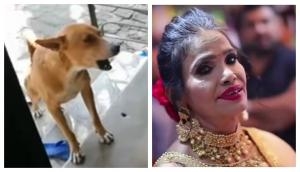 Dog sings Ranu Mondal and Himesh Reshammiya song ‘Teri Meri’ in unique style; video will tickle your funny bones