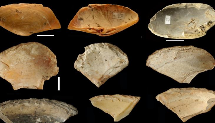 Study: Neanderthals may have gone diving to find shells from the sea floor