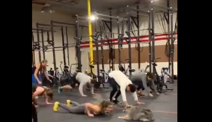 Wow! Australian dog turns gym trainer in this viral video; netizens love his leadership skills