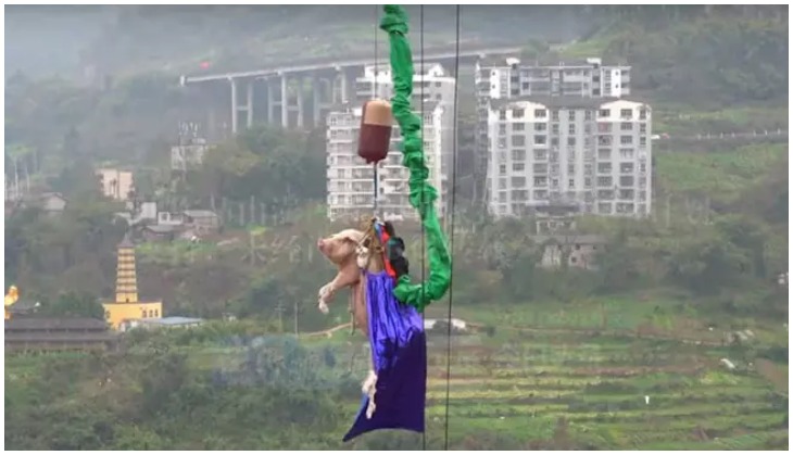 Chinese theme park forces pig to bungee jump from 223-foot high tower; faces backlash