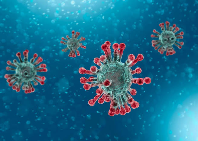 Coronavirus: Researchers release microscope images offering closer look at deadly pathogen