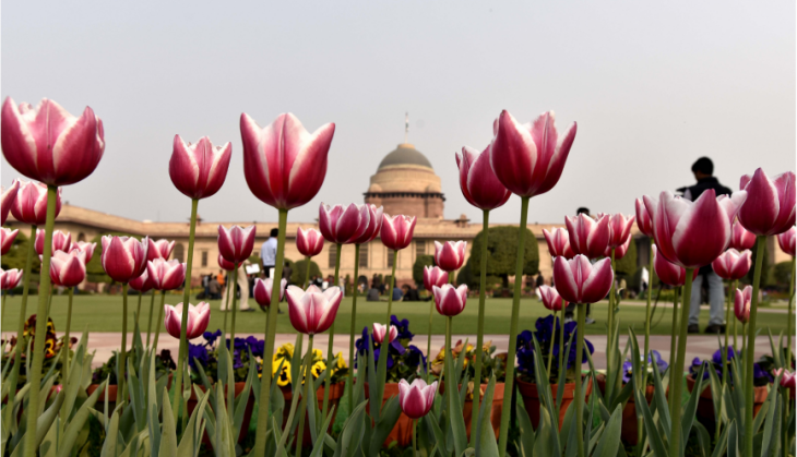 mughal garden