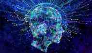 Study provides new insight into brain complexity